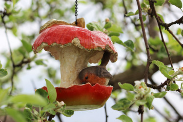 Similar image 1302525