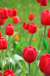 Similar image 1302528