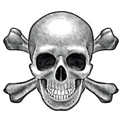 Similar image 1302681