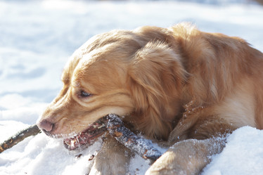 Similar image 1302699