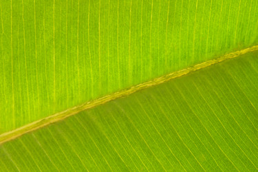 Similar image 1302700