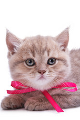 Similar image 1302702