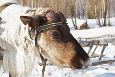 Similar image 1302703