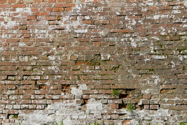 Similar image 1302754