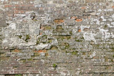 Similar image 1302756