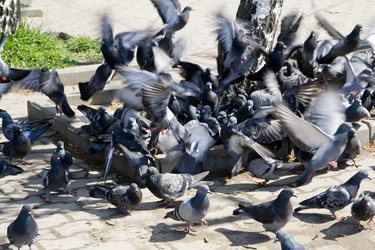 Similar image 1302759