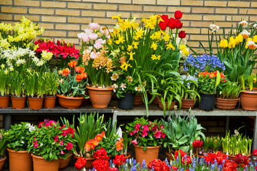 Similar image 1303286