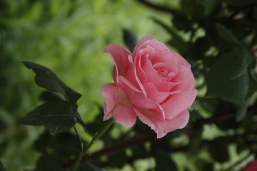 Similar image 1303489