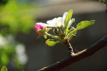 Similar image 1303492