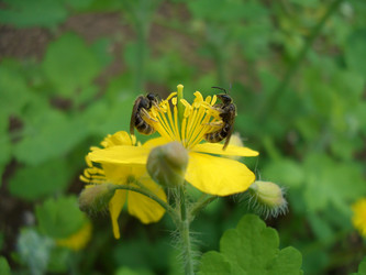 Similar image 1303503