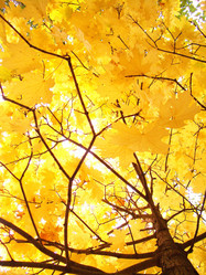 Similar image 1303506