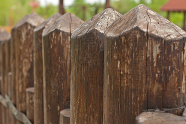 Similar image 1303541