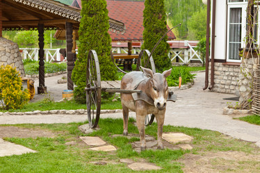 Similar image 1303544