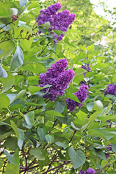 Similar image 1303548