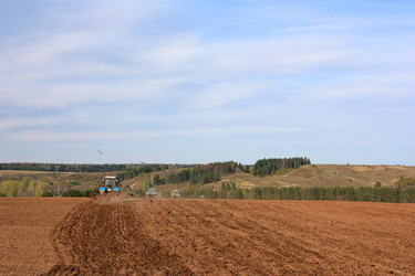 Similar image 1303614