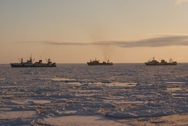 Similar image 1303626