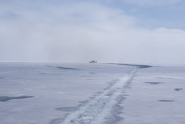 Similar image 1303632