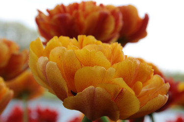 Similar image 1303696