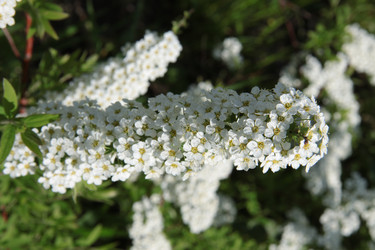 Similar image 1303705