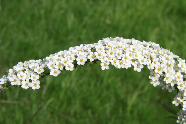 Similar image 1303706