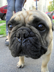 Similar image 1303711