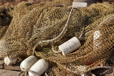 Similar image 1303738