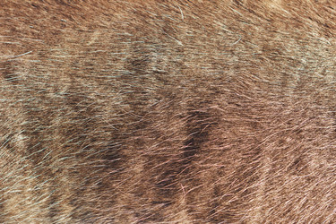 Similar image 1303739