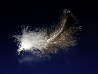 Similar image 1303763