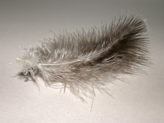 Similar image 1303764