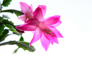 Similar image 1303813