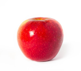 Similar image 1303823