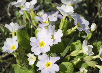 Similar image 1303831