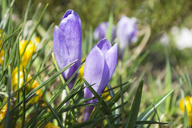 Similar image 1303832