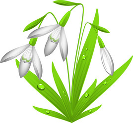 Similar image 1303919