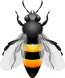 Similar image 1303933