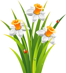 Similar image 1303935