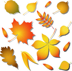 Similar image 1303951