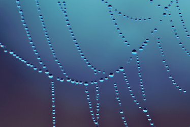 Similar image 1303978