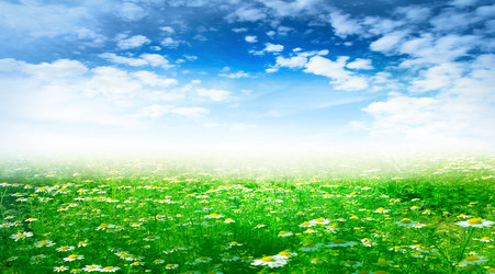 Similar image 1304035