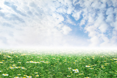 Similar image 1304055