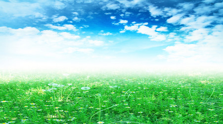 Similar image 1304056