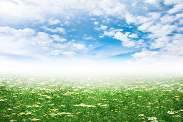 Similar image 1304057