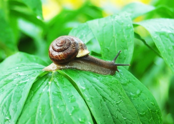 Similar image 1304059