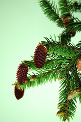 Similar image 1304064