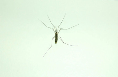 Similar image 1304066