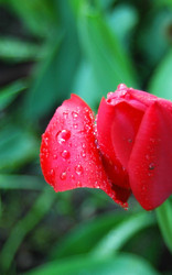 Similar image 1304068