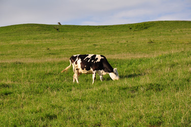 Similar image 1304082