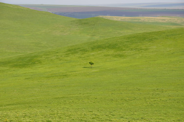 Similar image 1304084