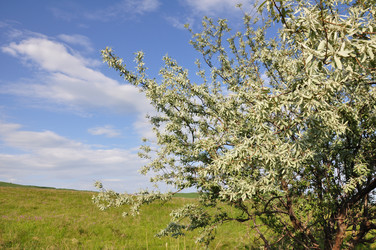 Similar image 1304086