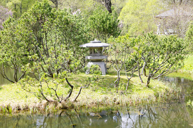 Similar image 1304124